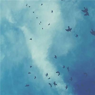 狗万manbet下载手机版