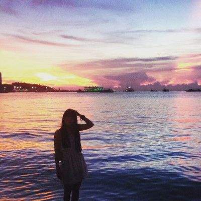 助赢软件手机app下载