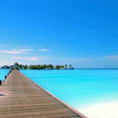 开云网kaiyun下载手机版