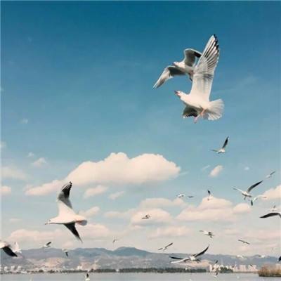 天天彩神welcome截图