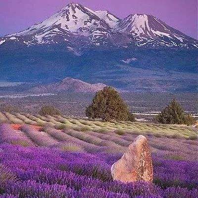 196体育(官方)APP下载安装手机app下载截图